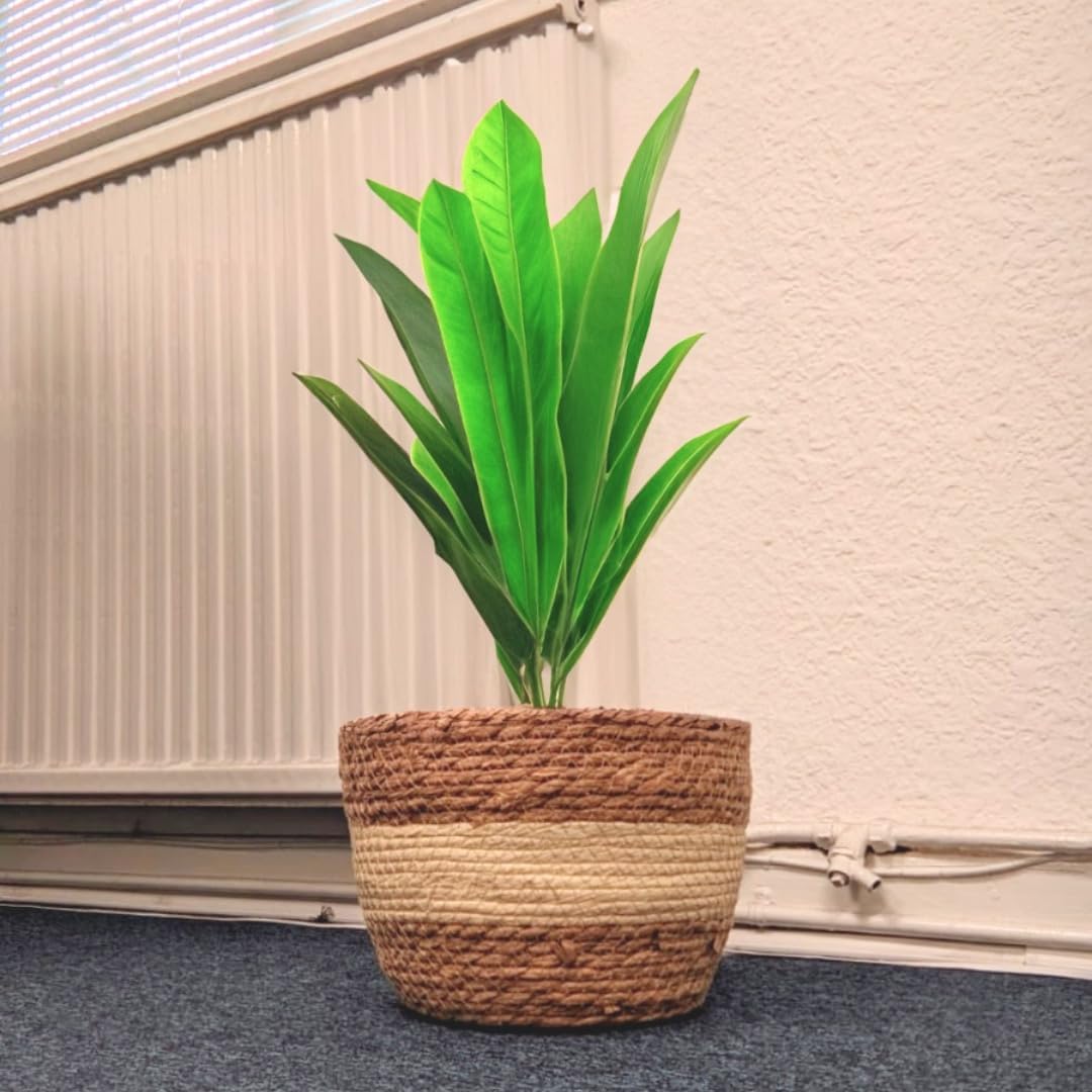 ADEPTNA 3pcs Wicker Plant Basket with Liner – 3 Sizes Seagrass Woven Natural Planter Baskets Home Decorative Plant Pot for Flowers Plants Trees Baskets for Indoor Outdoor Home Decoration